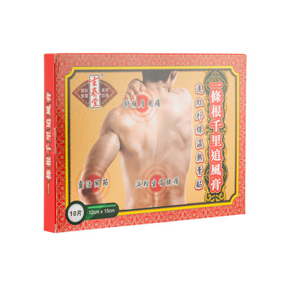 Shung Chun Tang  L-Tiao-Gung Point Pain Plaste 10Pcs