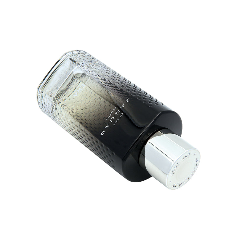 Jaguar Era Eau De Toilette 100ML| Men's Perfume | Sasa Global