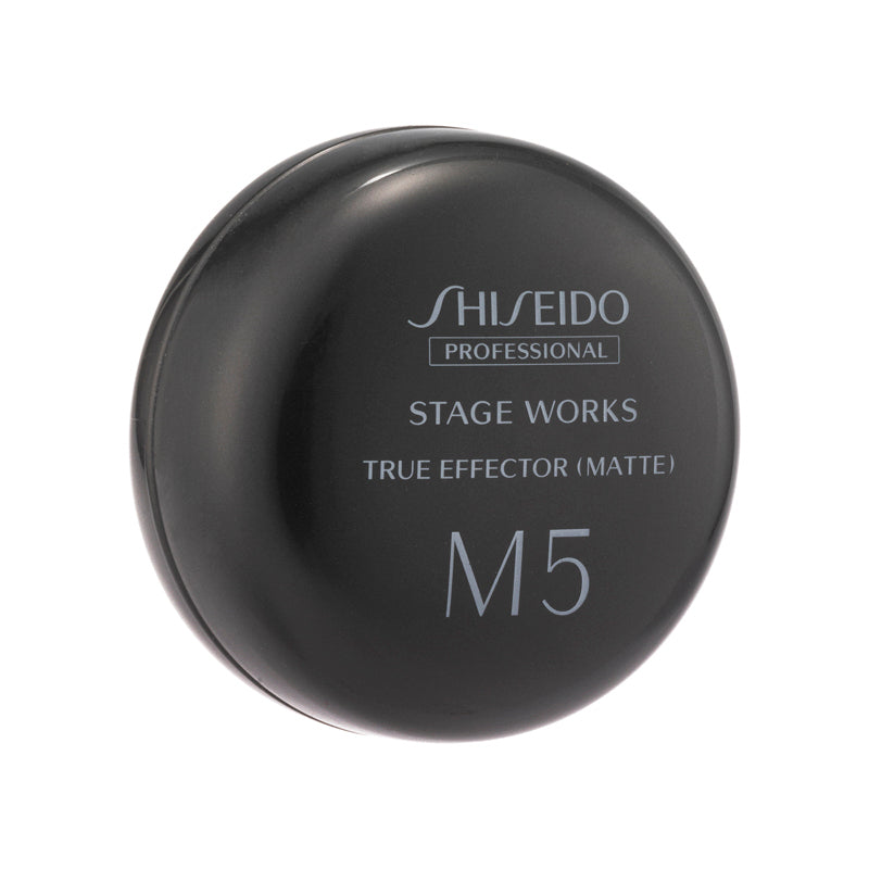Shiseido Professional Stage Works True Effector Matte 80g